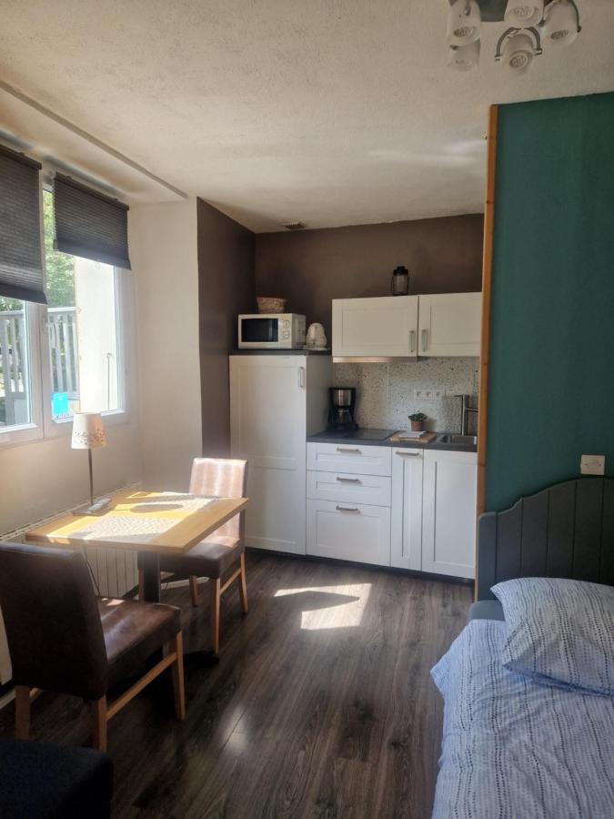 Studio La Cabane Centre Ville Le Bourg-d'Oisans Ngoại thất bức ảnh